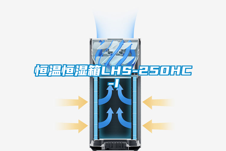 恒温恒湿箱LHS-250HC-I