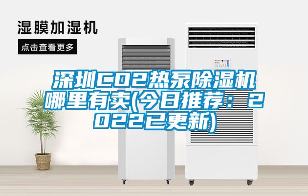 深圳CO2热泵除湿机哪里有卖(今日推荐：2022已更新)