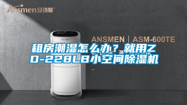 租房潮湿怎么办？就用ZD-228LB小空间除湿机