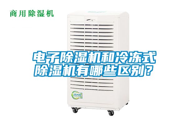 电子除湿机和冷冻式除湿机有哪些区别？
