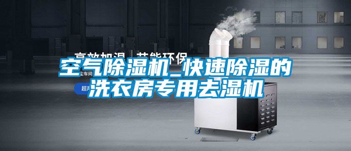 空气除湿机_快速除湿的洗衣房专用去湿机