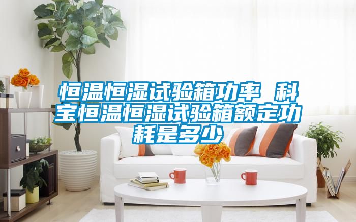 恒温恒湿试验箱功率 科宝恒温恒湿试验箱额定功耗是多少