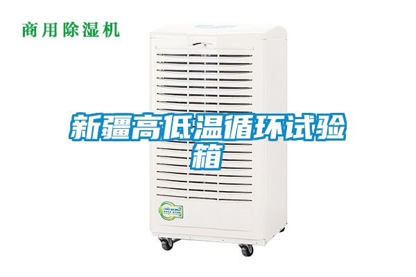 新疆高低温循环试验箱