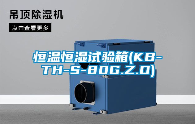 恒温恒湿试验箱(KB-TH-S-80G.Z.D)