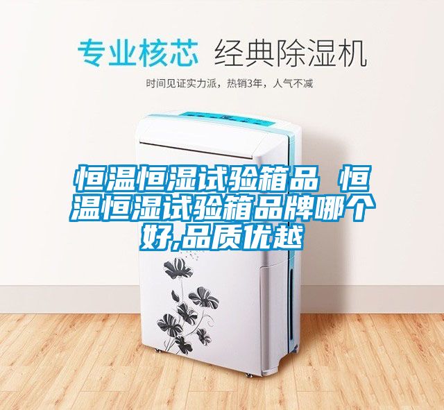 恒温恒湿试验箱品 恒温恒湿试验箱品牌哪个好,品质优越