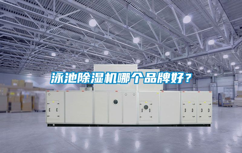 泳池除湿机哪个品牌好？