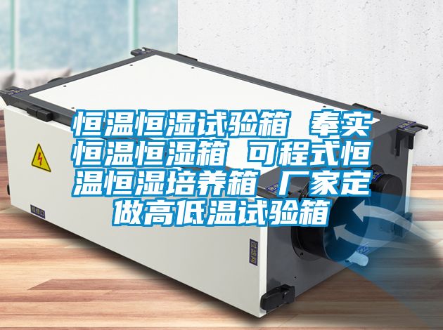 恒温恒湿试验箱 奉实恒温恒湿箱 可程式恒温恒湿培养箱 厂家定做高低温试验箱