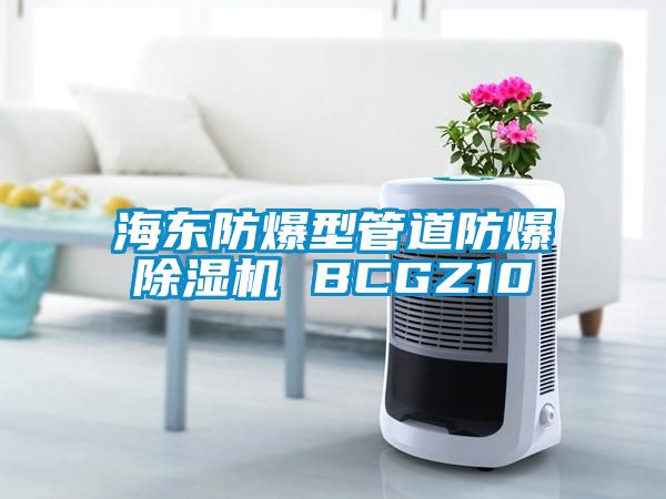 海东防爆型管道防爆除湿机 BCGZ10