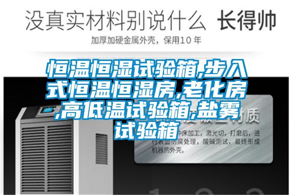 恒温恒湿试验箱,步入式恒温恒湿房,老化房,高低温试验箱,盐雾试验箱