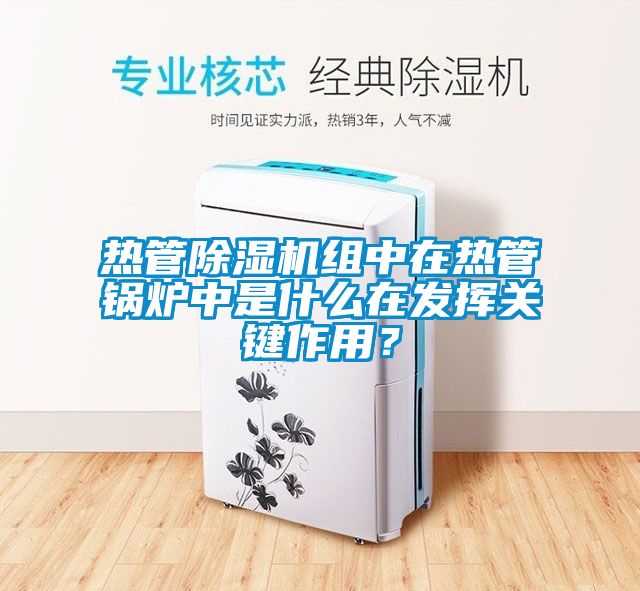 热管除湿机组中在热管锅炉中是什么在发挥关键作用？