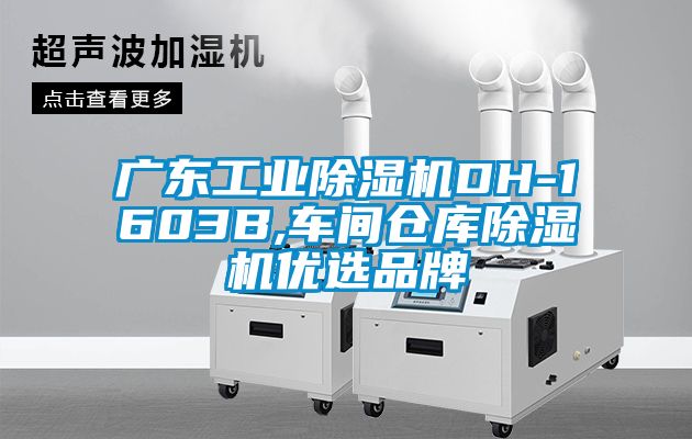 广东工业除湿机DH-1603B,车间仓库除湿机优选品牌