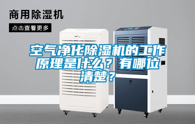 空气净化除湿机的工作原理是什么？有哪位清楚？