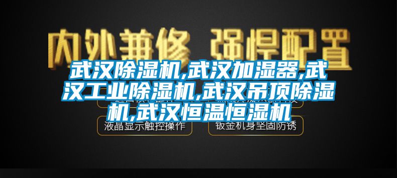 武汉除湿机,武汉加湿器,武汉工业除湿机,武汉吊顶除湿机,武汉恒温恒湿机