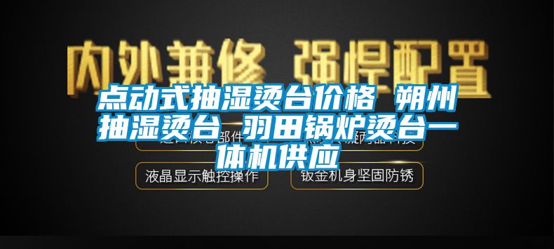 点动式抽湿烫台价格 朔州抽湿烫台 羽田锅炉烫台一体机供应