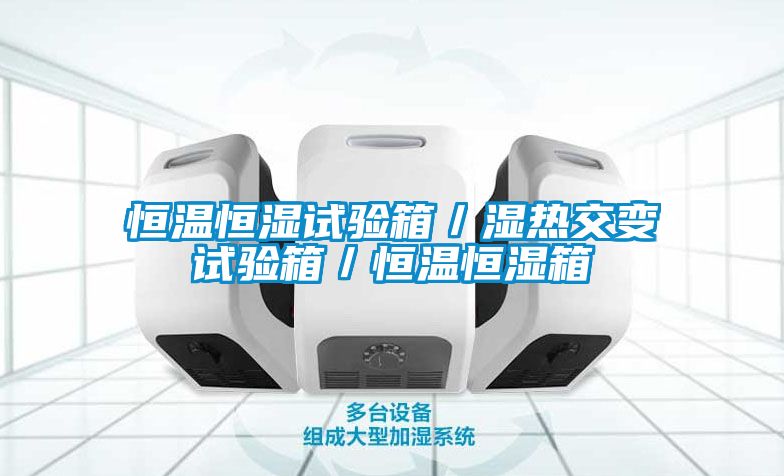 恒温恒湿试验箱／湿热交变试验箱／恒温恒湿箱