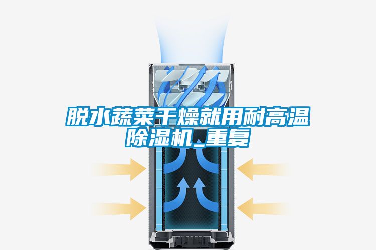 脱水蔬菜干燥就用耐高温除湿机_重复