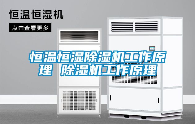 恒温恒湿除湿机工作原理 除湿机工作原理