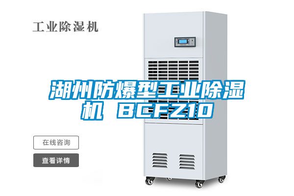 湖州防爆型工业除湿机 BCFZ10