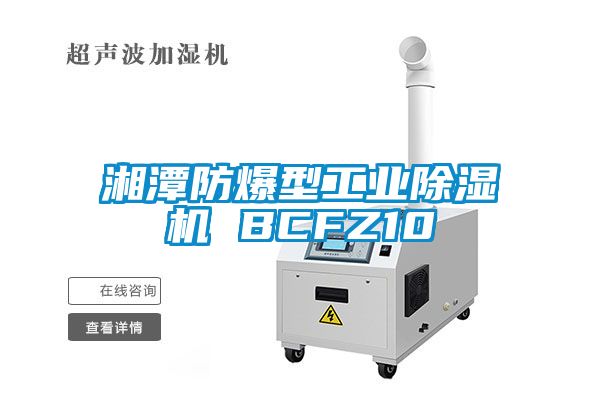 湘潭防爆型工业除湿机 BCFZ10