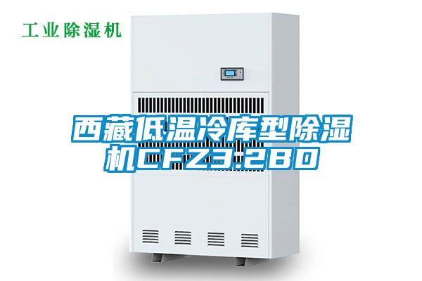 西藏低温冷库型除湿机CFZ3.2BD