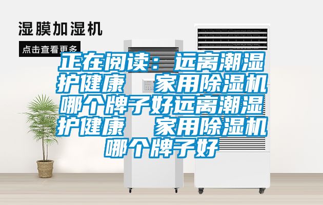 正在阅读：远离潮湿护健康  家用除湿机哪个牌子好远离潮湿护健康  家用除湿机哪个牌子好