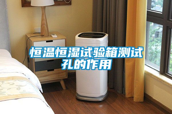 恒温恒湿试验箱测试孔的作用