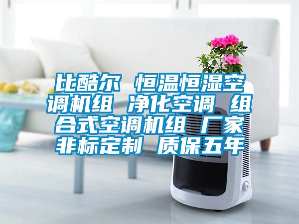比酷尔 恒温恒湿空调机组 净化空调 组合式空调机组 厂家非标定制 质保五年
