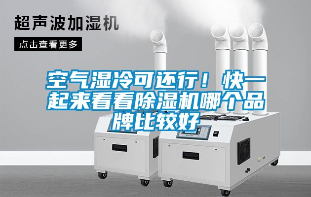 空气湿冷可还行！快一起来看看除湿机哪个品牌比较好