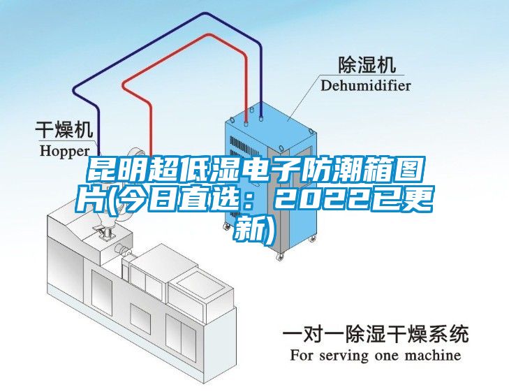 昆明超低湿电子防潮箱图片(今日直选：2022已更新)