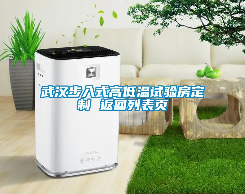 武汉步入式高低温试验房定制 返回列表页