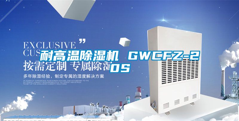 耐高温除湿机 GWCFZ-20S