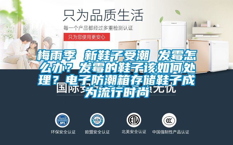 梅雨季 新鞋子受潮 发霉怎么办？发霉的鞋子该如何处理？电子防潮箱存储鞋子成为流行时尚