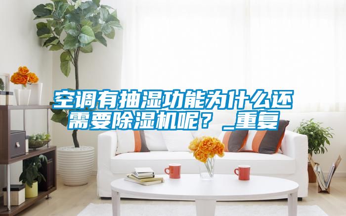 空调有抽湿功能为什么还需要除湿机呢？_重复