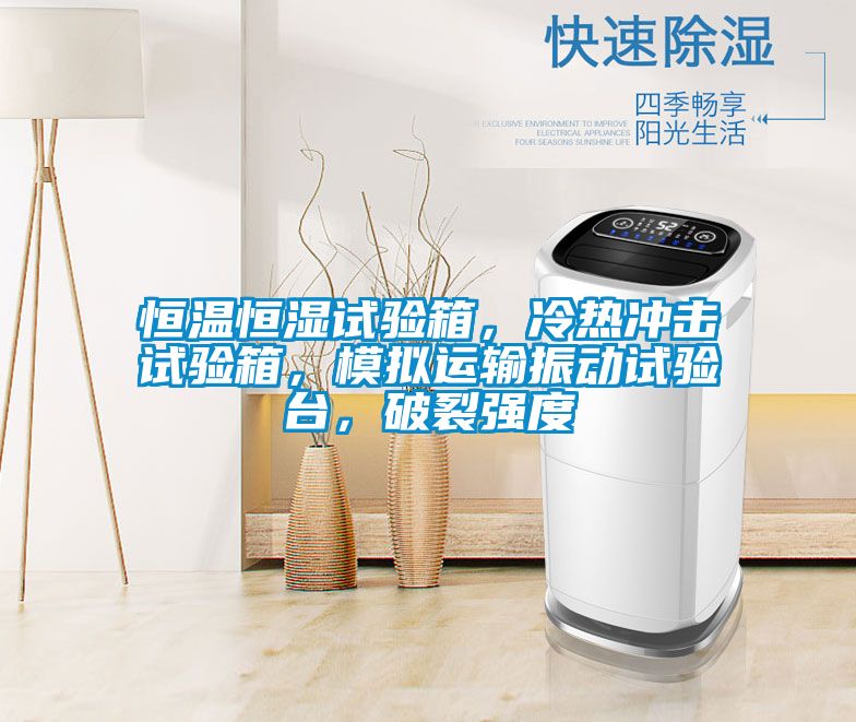 恒温恒湿试验箱，冷热冲击试验箱，模拟运输振动试验台，破裂强度