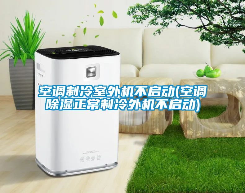 空调制冷室外机不启动(空调除湿正常制冷外机不启动)