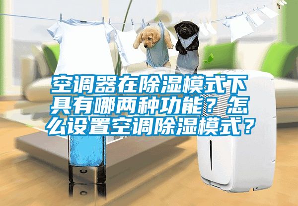 空调器在除湿模式下具有哪两种功能？怎么设置空调除湿模式？