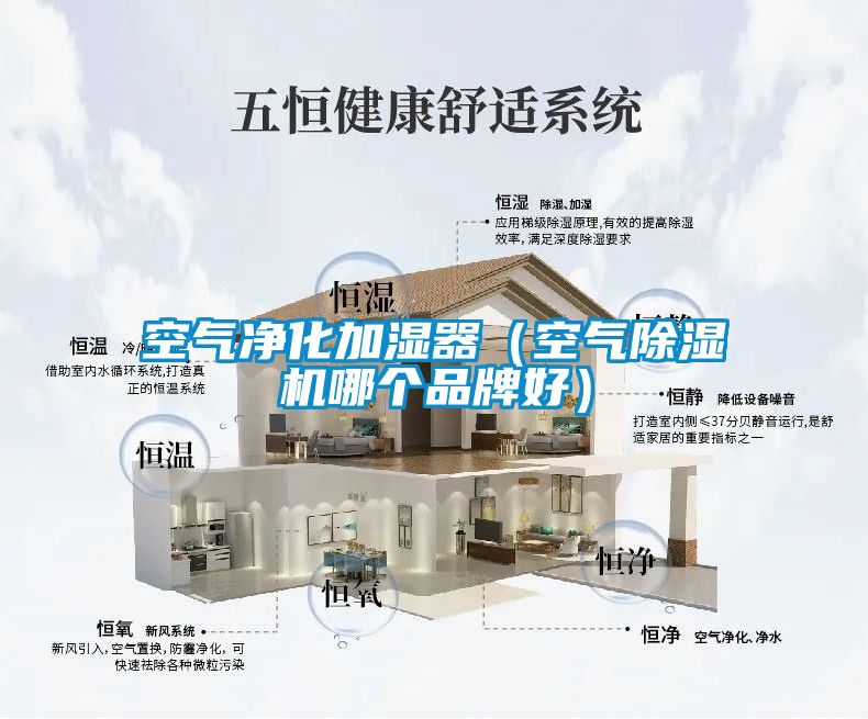 空气净化加湿器（空气除湿机哪个品牌好）