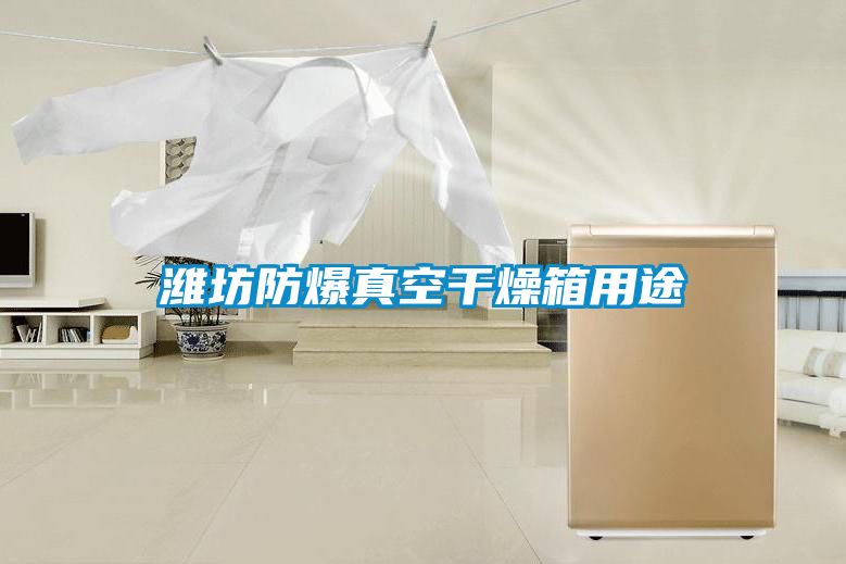 潍坊防爆真空干燥箱用途