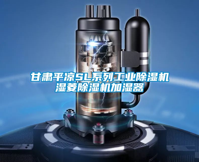 甘肃平凉SL系列工业除湿机湿菱除湿机加湿器