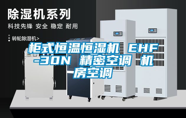 柜式恒温恒湿机 EHF-30N 精密空调 机房空调