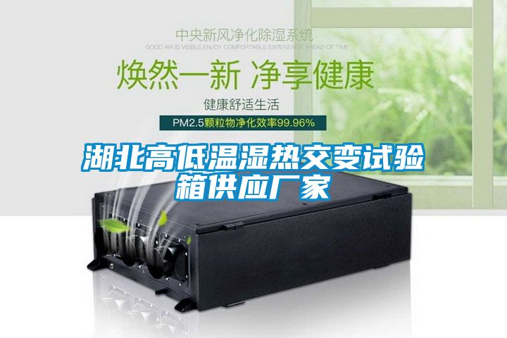 湖北高低温湿热交变试验箱供应厂家