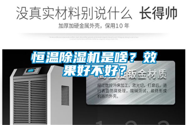 恒温除湿机是啥？效果好不好？
