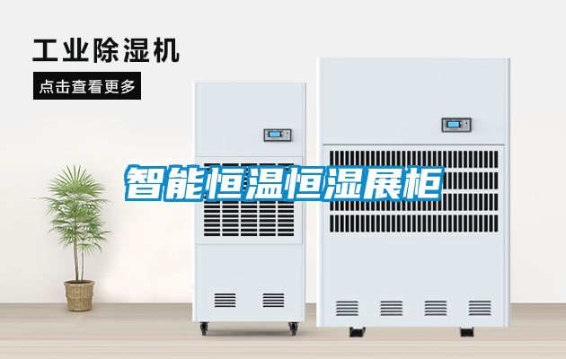 智能恒温恒湿展柜