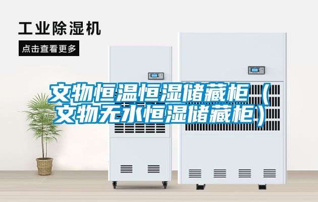 文物恒温恒湿储藏柜（文物无水恒湿储藏柜）
