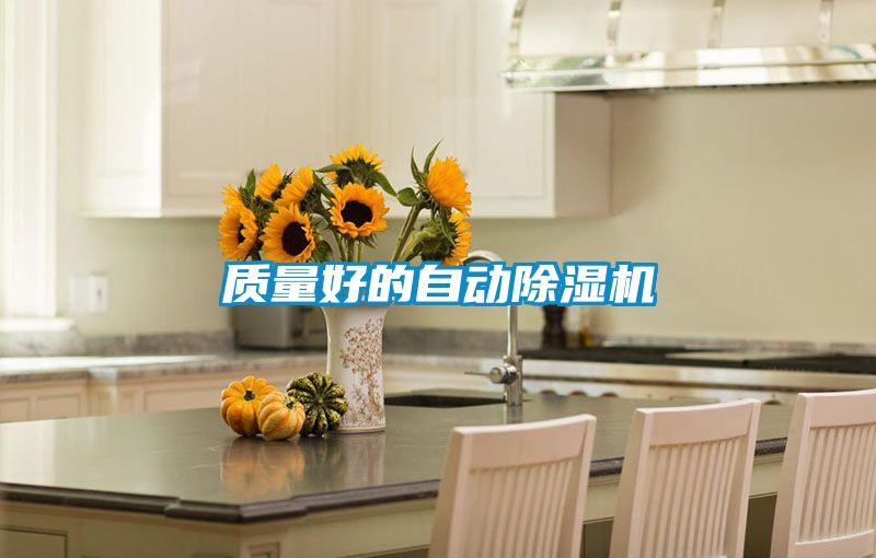 质量好的自动除湿机