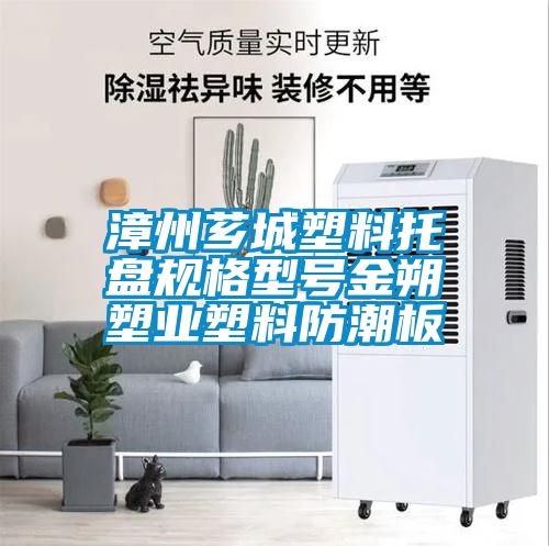 漳州芗城塑料托盘规格型号金朔塑业塑料防潮板