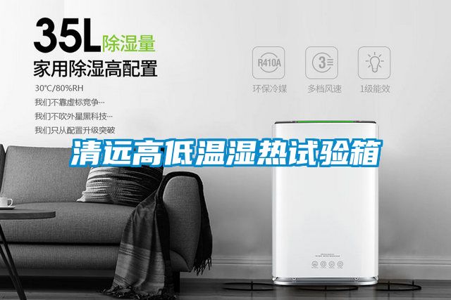 清远高低温湿热试验箱