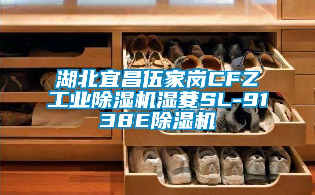 湖北宜昌伍家岗CFZ工业除湿机湿菱SL-9138E除湿机