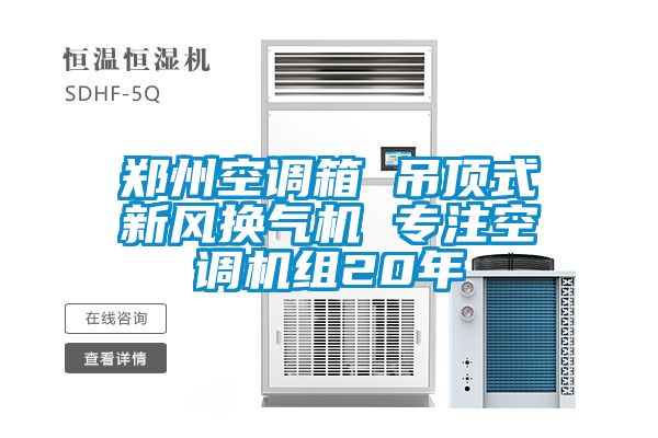 郑州空调箱 吊顶式新风换气机 专注空调机组20年