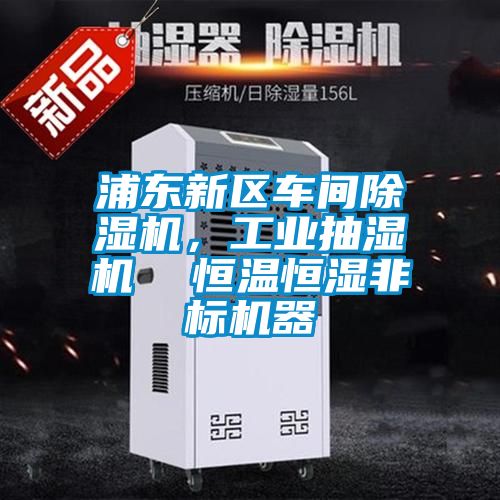 浦东新区车间除湿机，工业抽湿机  恒温恒湿非标机器